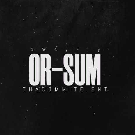 OR-SUM (Radio Edit) - 1wayfly MP3 download | OR-SUM (Radio Edit) - 1wayfly  Lyrics | Boomplay Music