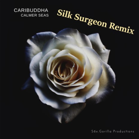 Calmer Seas ft. Silk Surgeon | Boomplay Music