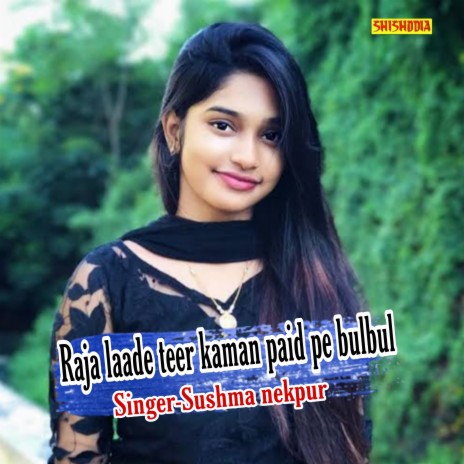 Raja Laade Teer Kaman Paid Pe Bulbul | Boomplay Music