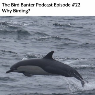 The Bird Banter Podcast Episode #22: Why Birding