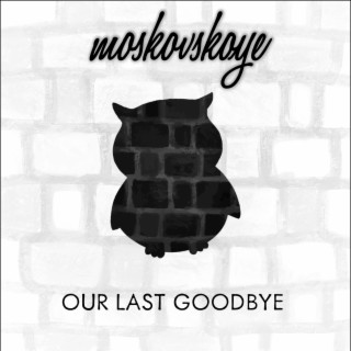 Our Last Goodbye