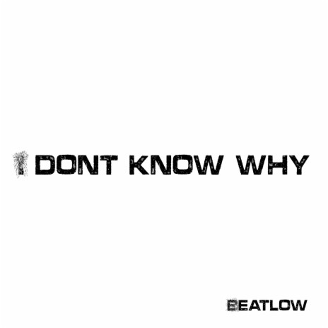 I Dont Know Why | Boomplay Music