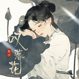 叹落花(DJ翊轩版) lyrics | Boomplay Music