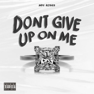 DON'T GIVE UP ON ME lyrics | Boomplay Music