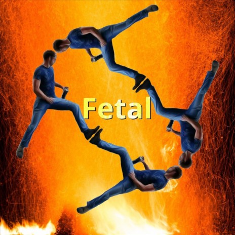 Fetal | Boomplay Music