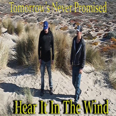 Hear It in the Wind | Boomplay Music