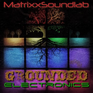 Grounded Electronics