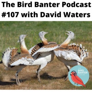 The Bird Banter Podcast #107 with David Waters
