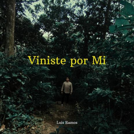 Viniste Por Mi | Boomplay Music