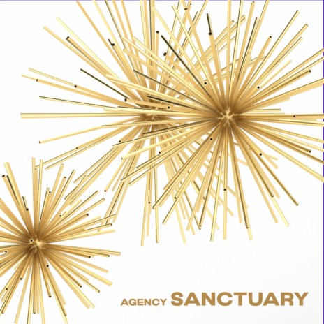 Sanctuary (MAD(DISCO)MIX)