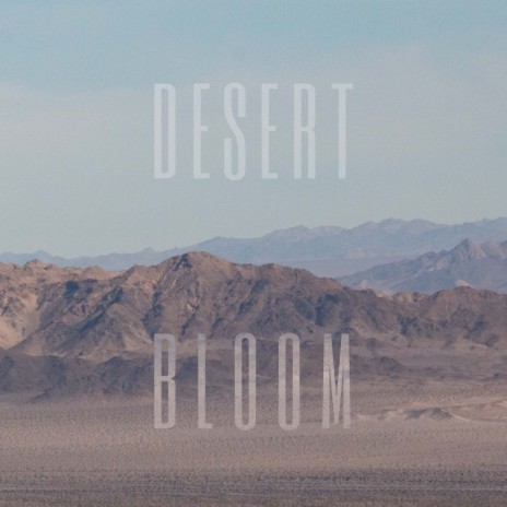 Desert Bloom (Instrumental) | Boomplay Music