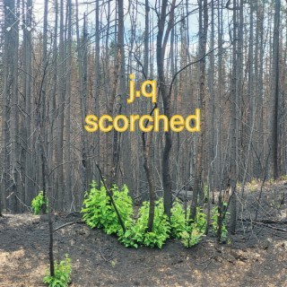 Scorched