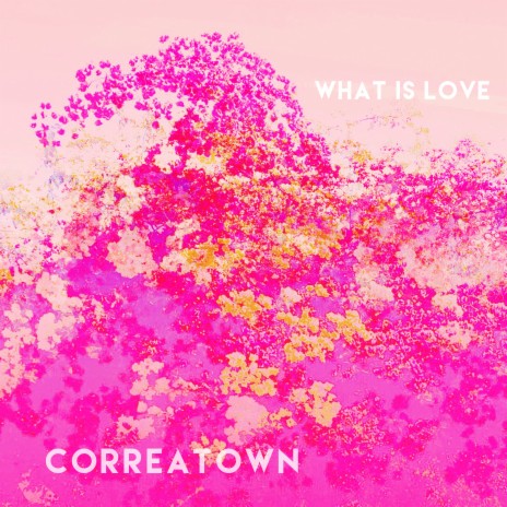 What Is Love | Boomplay Music