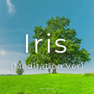Iris (Meditation Version)