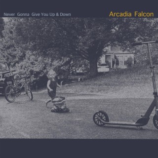 Arcadia Falcon