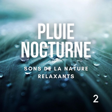 Vent pluie douce | Boomplay Music