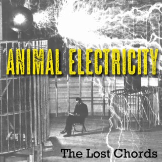 Animal Electricity lyrics | Boomplay Music