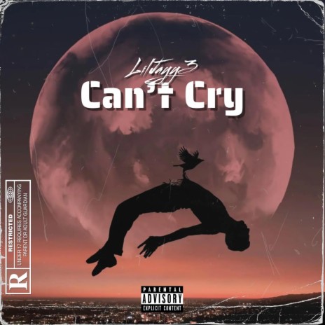 Can't Cry ft. NLLDEVOO