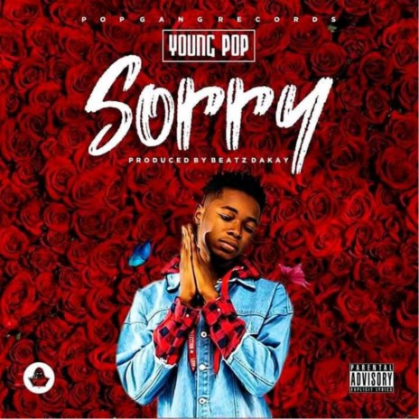 Sorry | Boomplay Music