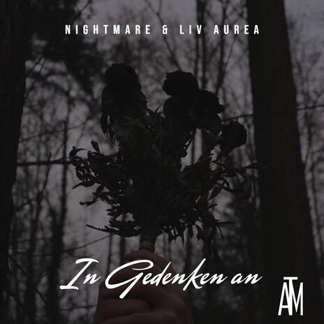 In Gedenken an ft. Liv Aurea | Boomplay Music