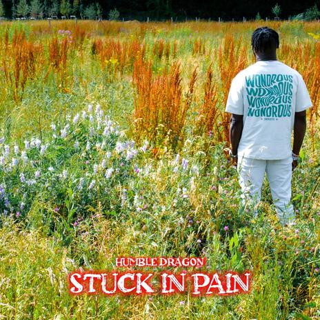 Stuck In Pain | Boomplay Music