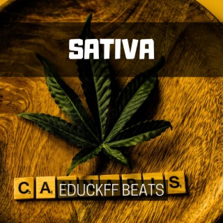 Sativa