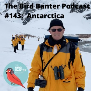 The Bird Banter Podcast #143:  Antarctica
