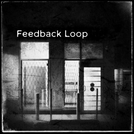 Feedback Loop | Boomplay Music