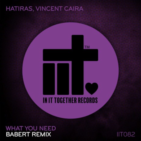 What You Need (Babert Extended Remix) ft. Vincent Caira & Babert | Boomplay Music