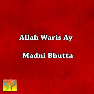 Allah Waris Ay