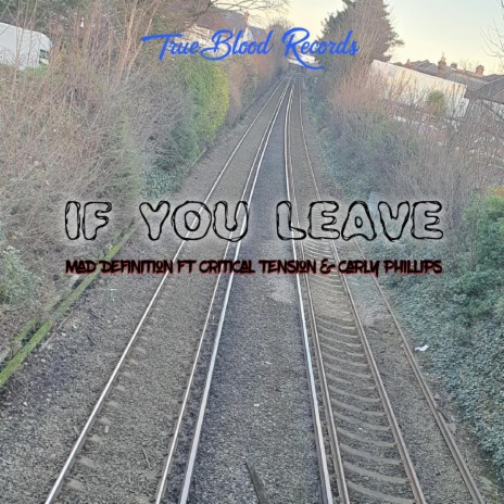 If You Leave ft. Critical Tension & Carly Phillips | Boomplay Music