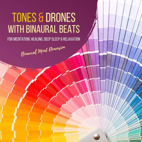 Aura Cleansing & Spiritual Detoxification Flicker Tone with Slow Revolving Drone (741 Hz Binaural Beats) | Boomplay Music