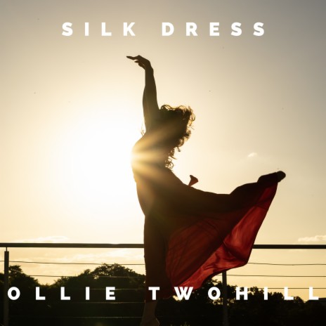 Silk Dress