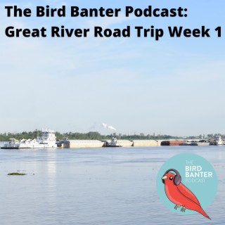 The Bird Banter Podcast:  Great River Road Trip Week 1