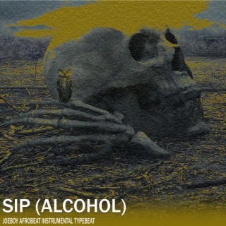 Sip (Alcohol) - Joeboy Afrobeat Typebeat Instrumental lyrics | Boomplay Music