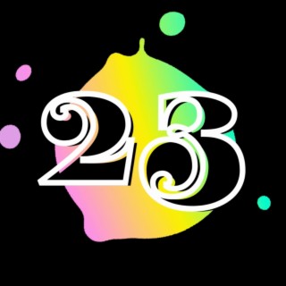 23