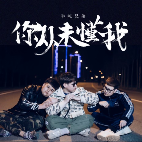 你从未懂我 | Boomplay Music