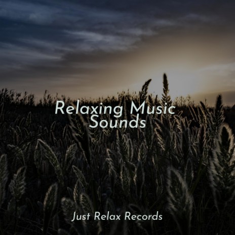 Majestic Prairie's Lullaby ft. Dog Music & Musica para Meditar | Boomplay Music