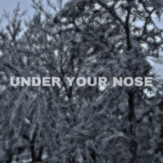 Under Your Nose