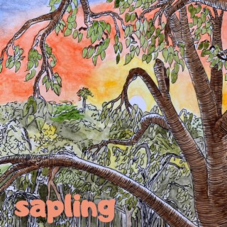 Sapling