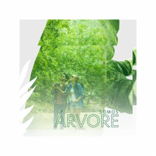 Somos árvore