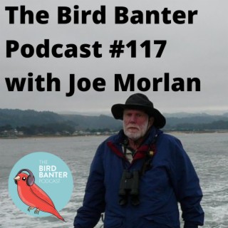 The Bird Banter Podcast #117 with Joe Morlan