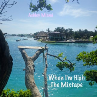 When I'm High The Mixtape