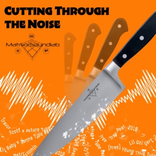 Cutting Through the Noise