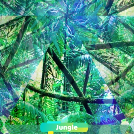 Jungle | Boomplay Music