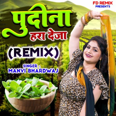 Pudina Hara Deja (Remix) | Boomplay Music