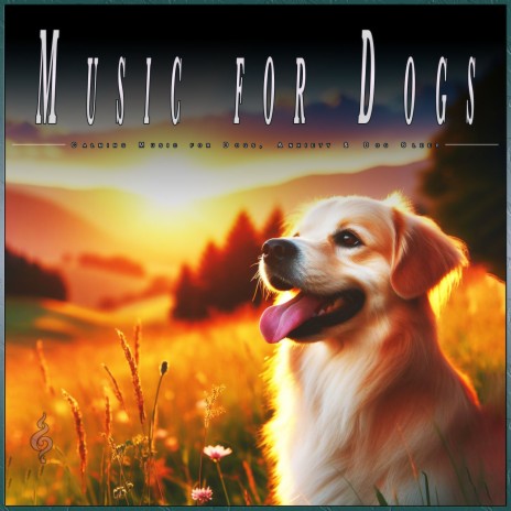 Peaceful Piano Music for Dogs ft. Dog Music FH & Dog Music Experience | Boomplay Music