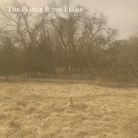 The Prairie and the Flame | Boomplay Music