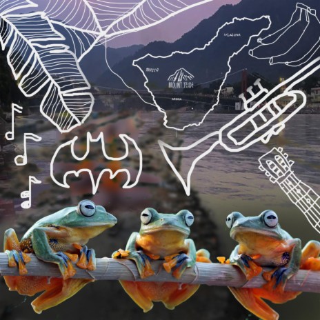 Frogs | Boomplay Music