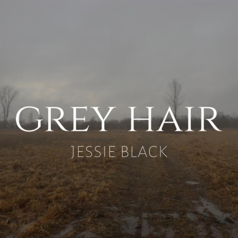 Grey Hair | Boomplay Music